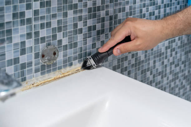 Best Mold Remediation Experts  in Brunswick, GA