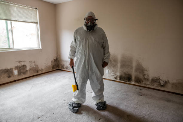 Best Office Mold Removal Services  in Brunswick, GA